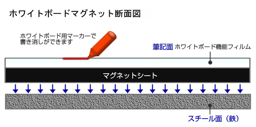 ホワイトボードマグネット断面図