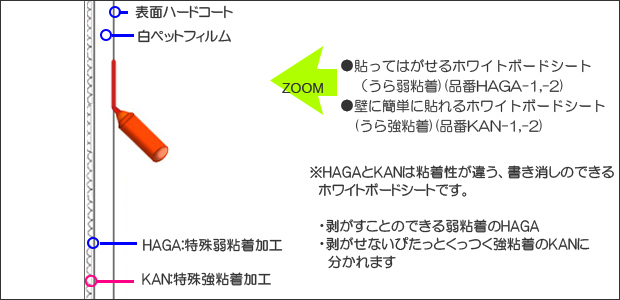 ホワイトボードシート 裏弱粘着と強粘着の断面図