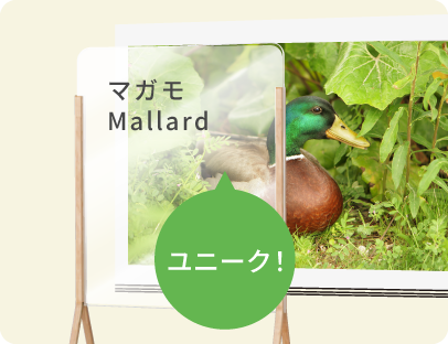 ユニーク！